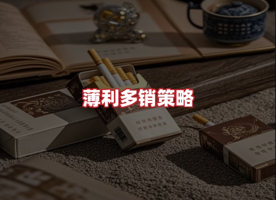 专业团队